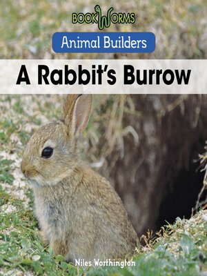 cover image of A Rabbit's Burrow